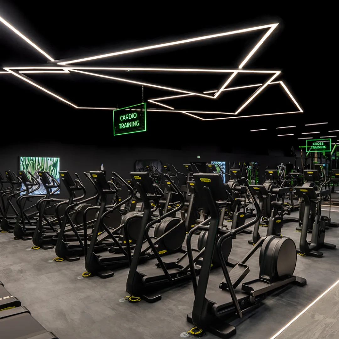 GIGAFIT: A Model Centered on Member Experience